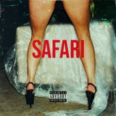 Safari (feat. Kizo) artwork