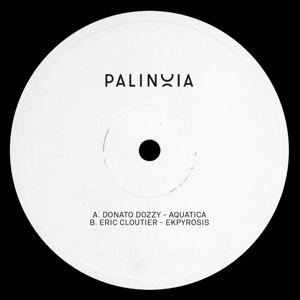 Palinoia Ltd 001 - Single