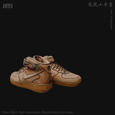 Air Force 1 (The Lost Student) - Single