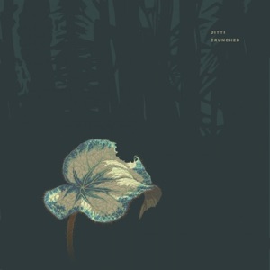 Crunched - Single
