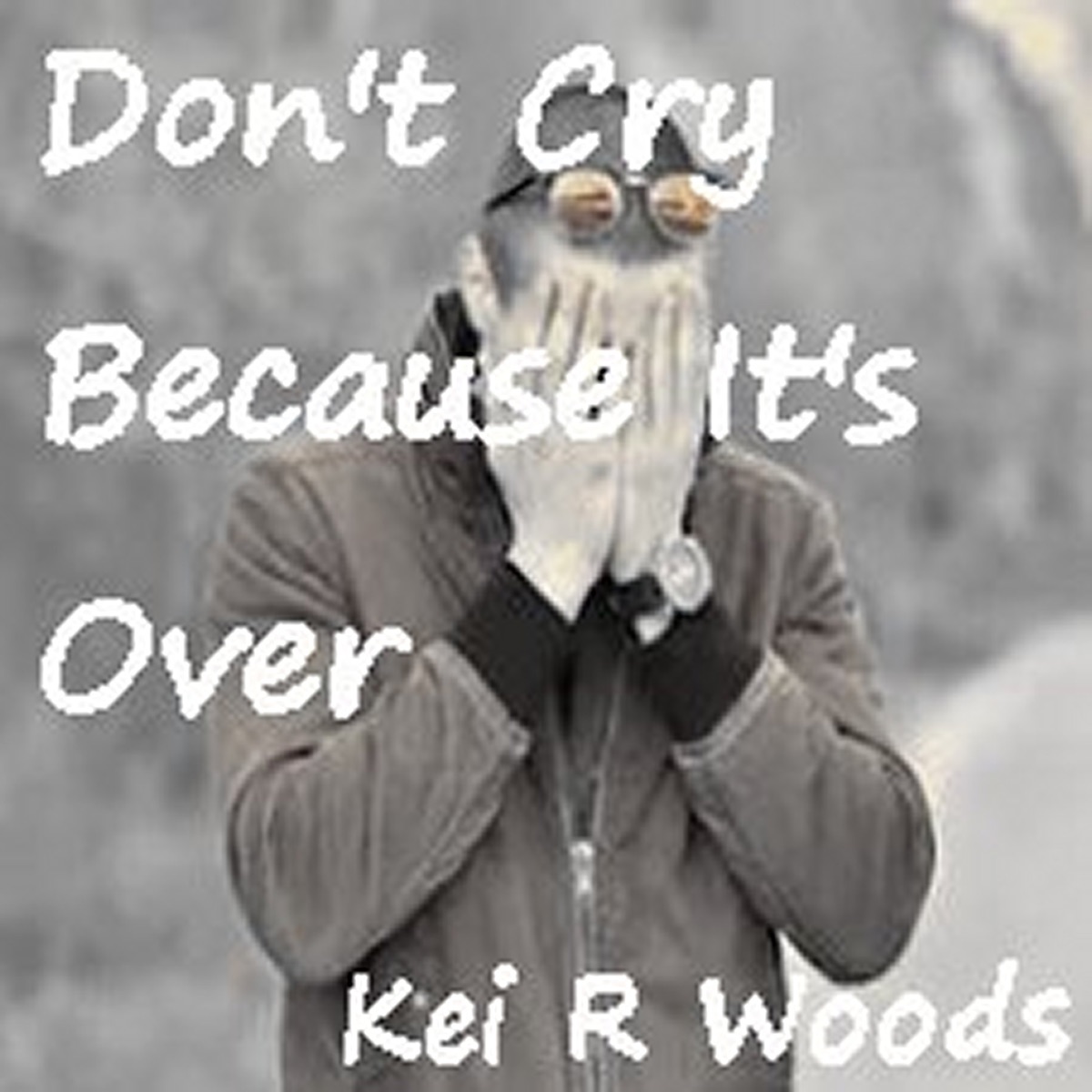 You Are an Idiot - song and lyrics by Kei R Woods