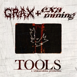 Tools (feat. Grax) Examining