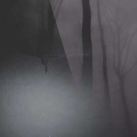 Tenderly, She Carries Them Abstract Aprils