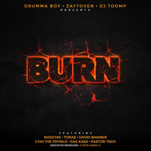 Burn (feat. Noochie, Ras Kass & Torae) - Single