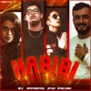 Habibi (feat. Hatem Mukattash, Jay Kila & Ritvika Sunku) - Single