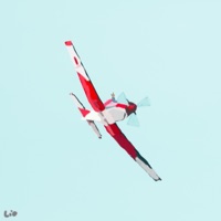 fliegen (feat. Trabbey) - Single - Lio