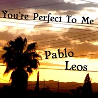 You're Perfect to Me - Single - Pablo Leos