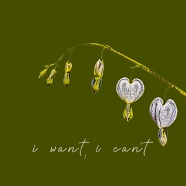 I Want, I Can't Linneah