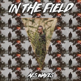 In the Field Aes Waves