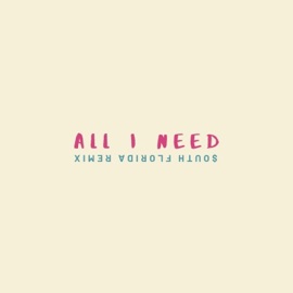 All I Need (feat. Ricky Vazquez) [$outh Florida Remix] Connor Flanagan