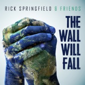 The Wall Will Fall artwork