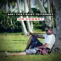 Am I That Easy To Forget