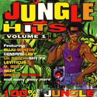 Various Artists - Jungle Hits, Vol. 1 artwork