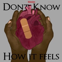 Don't Know How It Feels (feat. Eighty9s) - Single - Nimsins