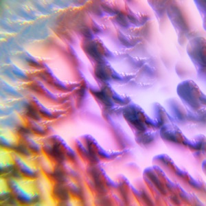 Wait. Lifted - EP