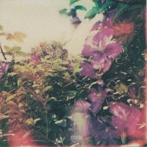 Stop and Smell the Flowers Sometime - EP