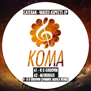 Varied Aspects - Single