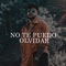 No Te Puedo Olvidar - Demian lyrics