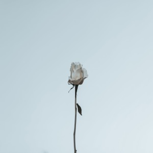 Love Is a Warmer Color - Single