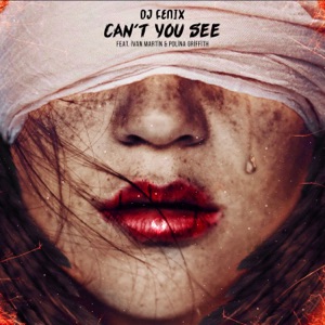 Can't you see (feat. Polina Griffith & Ivan Martin) - Single