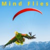 Mind Flies (Single Soothing Relax (528 Hz) Exended Play)