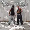 Birdman & Lil Wayne - You Ain't Know