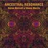 Ancestral Resonance - Byron Metcalf & Shane Morris