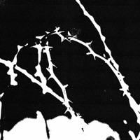 Okay (feat. Jayx) - Single - Hashi