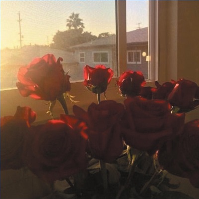 She Died in My Dreams (.ScaryAllOver/Flip.) - Single