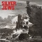 San Francisco B.C. - Silver Jews lyrics