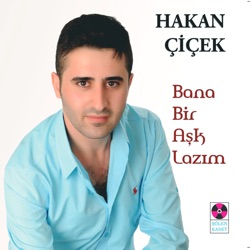 Cır Cır Böceği