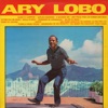 Ary Lobo, 1979