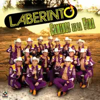 CAMINOS DE LA VIDA — LABERINTO