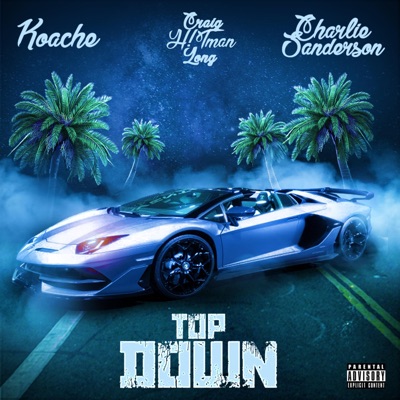 Top Down (feat. Charlie Sanderson & Koache) - Single