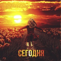 Сегодня - Single - ПРИМОРСКИЙ 25