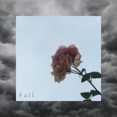 Fall (feat. Megz) - Single