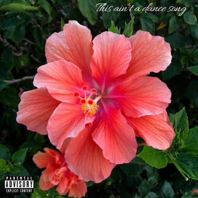 This Ain't a Dance (feat. Sadboyshaq) - Single
