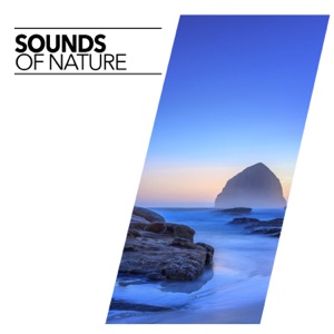 Sounds of Nature