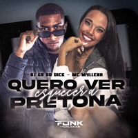 Quero Ver Esquecer a Pretona - Single - DJ GB do Dick & Mc Myllena
