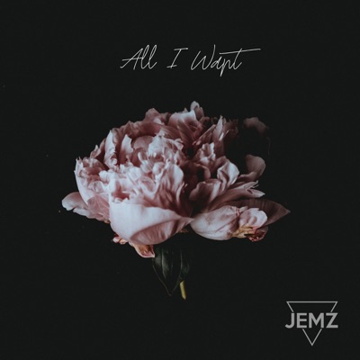 All I Want - Single