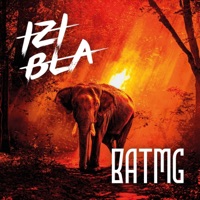 Tant pis pour les dégâts (feat. Bulldozer and the machine guns, Rubeus, Max Montagne & Na THC) - Single - IZI BLA