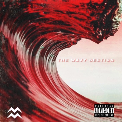 The Wavy Section - Single