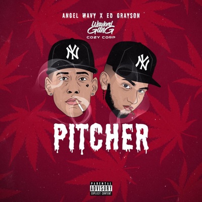Pitcher (feat. Ángel Wavy) - Single