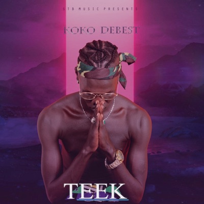 Teek - Single
