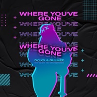 Where You've Gone - Single - Dylan Baksalara & Gulmee