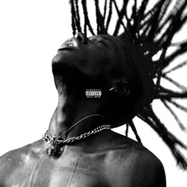 Peel Off (feat. Hanzo) Liamette