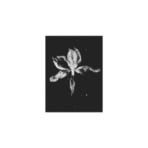 Waking Up to Never Die - EP