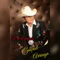 La Noche Perfecta