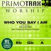 Who You Say I Am (Worship Primotrax) [Performance Tracks] - EP