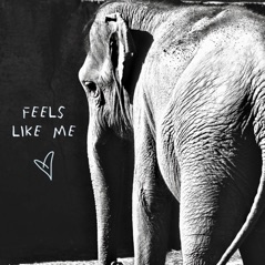 Feels Like Me - Single